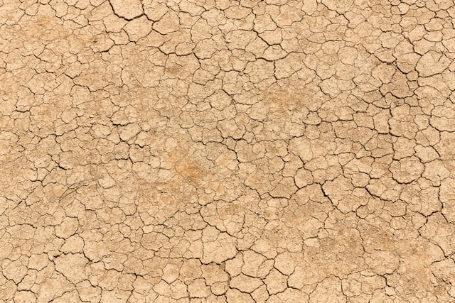 Image shows dried, cracked yellow earth